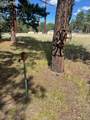 10775 Hardy Road - Photo 20