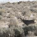 2997 County Road 20.5 - Photo 9