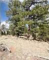 110 La Abu Trail - Photo 8