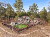 10957 Silver Mountain Point - Photo 99