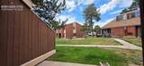 4509 Carefree Circle - Photo 30