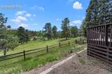 42 Bluebird Hill - Photo 6