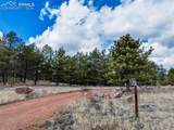 109 Pawnee Place - Photo 37