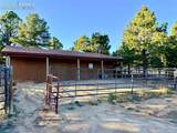 20280 Indi Drive - Photo 9