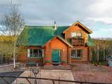 11690 Rampart Range Road - Photo 43