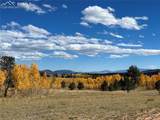 2387 Buffalo Ridge Road - Photo 69