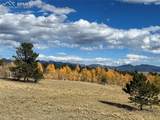 2387 Buffalo Ridge Road - Photo 71