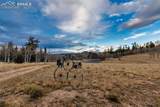 2387 Buffalo Ridge Road - Photo 9