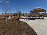 42974 Colonial Trail - Photo 15