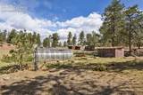881 Trail Creek Road - Photo 35