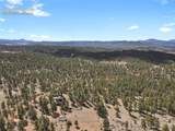 881 Trail Creek Road - Photo 38