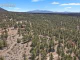 881 Trail Creek Road - Photo 39