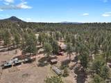 881 Trail Creek Road - Photo 4