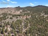881 Trail Creek Road - Photo 40