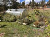 881 Trail Creek Road - Photo 44