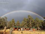 881 Trail Creek Road - Photo 45