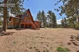 881 Trail Creek Road - Photo 6