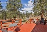 881 Trail Creek Road - Photo 7