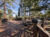 1176 Trail Creek Road - Photo 5