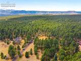 15950 Roller Coaster Road - Photo 1