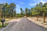 15950 Roller Coaster Road - Photo 21