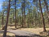 15950 Roller Coaster Road - Photo 22