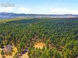 15950 Roller Coaster Road - Photo 24