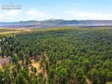 15950 Roller Coaster Road - Photo 25
