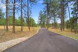 15950 Roller Coaster Road - Photo 16
