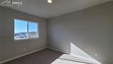 10651 Wolf Lake Drive - Photo 33