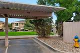 3060 Mandalay Grove - Photo 29
