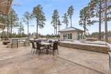 10957 Silver Mountain Point - Photo 91