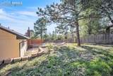445 Wintery Circle - Photo 45