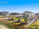 10062 Antelope Ravine Drive - Photo 4