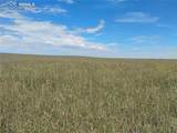 19981 Cloudfield Point - Photo 25