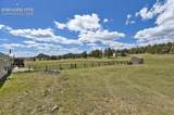 2329 Southpark Road - Photo 38