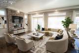 8361 Colorado Spruce Lane - Photo 16