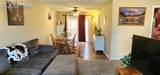 1555 Luna Vista Street - Photo 14