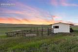 11100 Haskel Creek Road - Photo 43