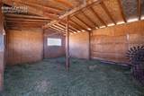 11100 Haskel Creek Road - Photo 45