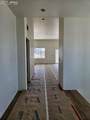 8663 Noreen Falls Drive - Photo 2
