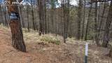 93 Kiowa Creek Trail - Photo 11