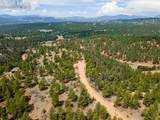 93 Kiowa Creek Trail - Photo 7