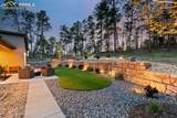 16244 Thunder Cat Way - Photo 4