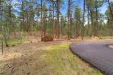 15950 Roller Coaster Road - Photo 9