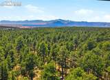 15950 Roller Coaster Road - Photo 11