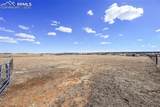 Lot 3 Alpaca Heights - Photo 21