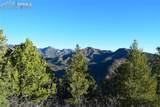 3735 Big Spruce Heights - Photo 17