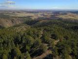 3735 Big Spruce Heights - Photo 4