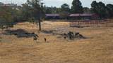 24063 County Road 122 - Photo 10